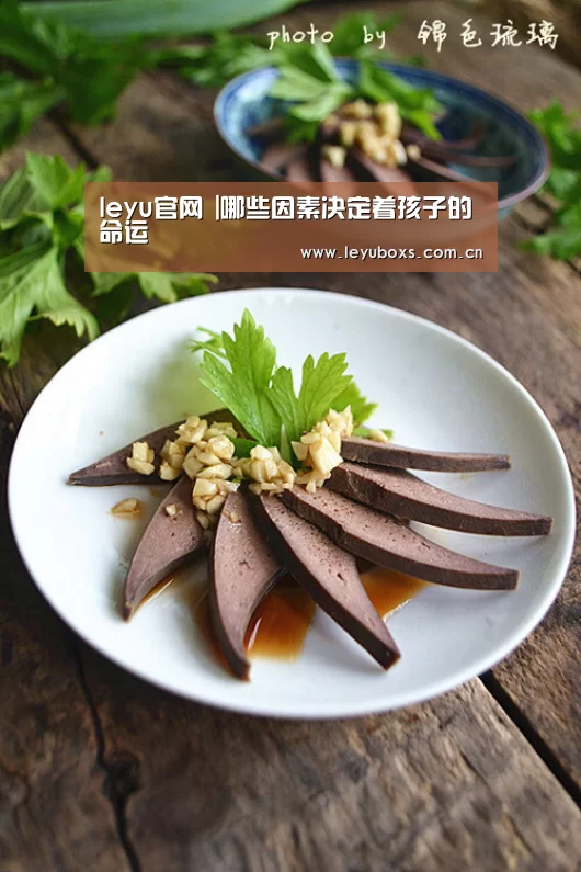 leyu官网 |哪些因素决定着孩子的命运(图2) 登录入口