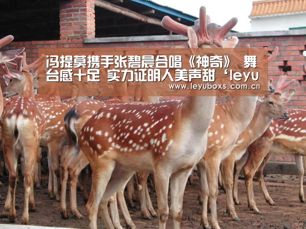 leyu官网 